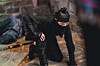 MBC's historical drama ″Knight Flower″ is a story about a widow who conceals her identity and helps those in need. [MBC]