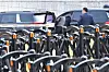 Police arrive at the presidential office on April 16. [JOINT PRESS CORPS]