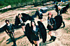 Girl group Purple Kiss [RBW]