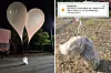 Left: The two balloons discovered in South Chungcheong on Tuesday. Right: A package presumed to contain feces carried by a balloon was discovered in northern Gyeonggi on Wednesday. Inset: An emergency alert sent to South Koreans living in Gyeonggi and northern Seoul on Tuesday night. [JOINT CHIEFS OF STAFFS, YONHAP, SCREEN CAPTURE]