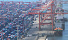An export and import cargo is stacked at Sinseondae Terminal in Busan Port on July 31, 2025.  [YONHAP]