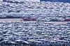 Vehicles for export are parked at a port in Pyeongtaek, Gyeonggi on April 15. [AP/YONHAP]