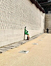 A photo shared on social media appears to show a Vietnamese tourist in a yoga pose leaning against Gyeongbok Palace in central Seoul.  [SCREEN CAPTURE]