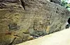 Petroglyphs carved by early inhabitants of the Korean Peninsula, preserved along the Bangucheon, a stream in Ulsan, are expected to be inscribed as a Unesco World Heritage site. [YONHAP]