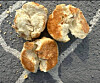 Bread embedded with fish hooks sits on the ground at a pet park in Naju, South Jeolla, on Feb. 14. [SCREEN CAPTURE]