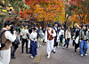 Participants of the 2025 Seoul Eco Hiking Festa watch a performance by actors dressed in traditional clothing as they hike along a trail on Mount Namsan in Jung District, central Seoul, on Nov. 15. [PARK SANG-MOON]