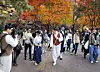 Participants of the 2025 Seoul Eco Hiking Festa watch a performance by actors dressed in traditional clothing as they hike along a trail on Mount Namsan in Jung District, central Seoul, on Nov. 15. [PARK SANG-MOON]
