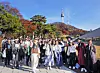 Participants of the 2025 Seoul Eco Hiking Festa pose for a photo as they hike along a trail on Mount Namsan in Jung District, central Seoul, on Nov. 15. [PARK SANG-MOON]