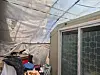The inside of a vinyl greenhouse in Honeybee Village in Gwacheon, Gyeonggi is seen on July 10. [SHIN HYE-YEON]