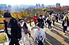 Participants of the 2025 Seoul Eco Hiking Festa hike along a trail on Mount Namsan in Jung District, central Seoul, on Nov. 15. [PARK SANG-MOON]