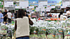 A shopper looks at vegetables at a supermarket in Seoul on June 22. [NEWS1]