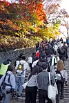 Participants of the 2025 Seoul Eco Hiking Festa hike along the hiking trail on Mount Namsan in Jung District, central Seoul, on Nov. 15. [PARK SANG-MOON]