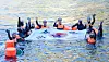 Haenyeo, or female divers, from Jeju and Ulleung islands hold up a large Taegeukgi, or Korean national flag, while performing a diving demonstration off Dokdo on Aug. 8. [JEJU PROVINCIAL GOVERNMENT]