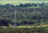 A transmission tower with no power lines stands abandoned among the overgrowth along the Gyeongui Line road in the Demilitarized Zone on the western front, as seen from Dora Observatory in Paju, Gyeonggi, on Sept. 3. [YONHAP]