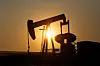 An oil pumpjack pumps oil in a field near Calgary, Alberta, on July 21, 2014. Pumpjacks are used to pump crude oil out of the ground after an oil well has been drilled. [REUTERS/YONHAP]