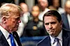 U.S. President Trump walks alongside his attorney Todd Blanche after a jury found him guilty of all 34 felony counts in his criminal trial at New York State Supreme Court in New York on May 30, 2024. [REUTERS/YONHAP]