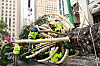 Riggers prepare the wrapped 2025 Rockefeller Center Christmas Tree, a 75-foot tall, 11-ton Norway Spruce from East Greenbush for craning in New York on Nov. 8. [AP/YONHAP]