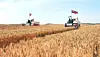 North Korean farmers harvest crops in this photo released by Rodong Sinmun, which reported on Oct. 25 on progress being made in mechanization of rural management under a new rural development policy. [RODONG SINMUN