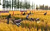 North Korean farmers harvest crops in this photo released by the Rodong Sinmun on Feb. 22. [RODONG SINMUN]