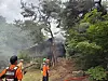 Fire authorities work to put out a fire at Seongbuk-dong Garden, a designated cultural heritage site in Seongbuk District, northern Seoul, on June 30. [KOREA HERITAGE SERVICE]