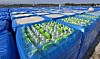 Cases of bottled water donated from across the country during a severe drought in Gangneung, Gangwon, sit exposed to sunlight in an outdoor parking lot in Gangneung, where they have been left unattended for nearly a month, on Oct. 30. [YONHAP]