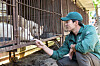 Actor Daniel Henney looks at a dog inside a cage at an illegal dog slaughterhouse in Cheongju on May 8. [HUMANE WORLD FOR ANIMALS]
