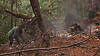 In this image taken from video, people work at the site of a military helicopter crash in Sikaman near Adansi, Ashanti region, Ghana on Aug. 6. [AP/YONHAP]