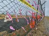 Ribbons hang on the Muan Airport fence in South Jeolla to commemorate the 100th day of the Jeju Air crash, which took place on Dec. 29, 2024. [JOONGANG ILBO]