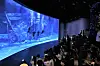 Visitors observing the main tank at Lotte World Aquarium in Hanoi. [LOTTE SHOPPING]