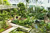 Seoul Botanic Park in Gangseo District, western Seoul [JOONGANG ILBO]