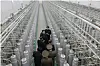 Kim Jong-un (2nd from top) inspects the nuclear-material production base with officials on Jan. 29. [NEWS1]