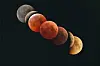 The total lunar eclipse from Nov. 8, 2022 [KOREA ASTRONOMY AND SPACE SCIENCE INSTITUTE]
