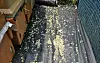 Acacia blossoms, battered by heavy rain, lie scattered around a beehive on May 19. [KOREA BEEKEEPING ASSOCIATION]