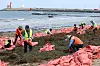 Local clean-up crews from Jeju City collect large amounts of seaweed washed ashore at Iho Beach in Jeju on April 16. [YONHAP]
