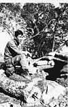 [Heroes from afar] Thailand’s ‘Little Tigers’ fought bravely in Korea