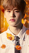 The winning piece of fan art celebrating Sohee's selection as the K-pop artist who has the most “autumn-like personal color.″ [PICNIC]