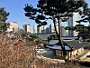 The contrast between the temple grounds and the towering skyscrapers beyond was striking. [ALICIA CARR]