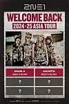 Girl group 2NE1 Asia tour poster [YG ENTERTAINMENT]