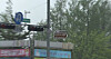 A signage reads Pope Francis Street in Daejeon [DAEJEON CITY OFFICE]