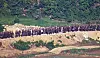 Dozens of North Korean soldiers are deployed to the front lines on June 18 in this photo provided by the Joint Press Corps. [NEWS1]