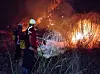 Firefighters work to contain a wildfire in Andong, North Gyeongsang, on April 25. [YONHAP]
