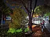 A firefighter tends to a collapsed tree in Suncheon, South Jeolla, on April 13. [NEWS1]
