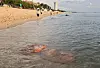 A Nomura's jellyfish is seen floating near the shoreline of Gyeongpo Beach in Gangneung, Gangwon, carried by the waves on Wednesday amidst a recent spate of jellyfish sting incidents on East Coast beaches. [YONHAP]