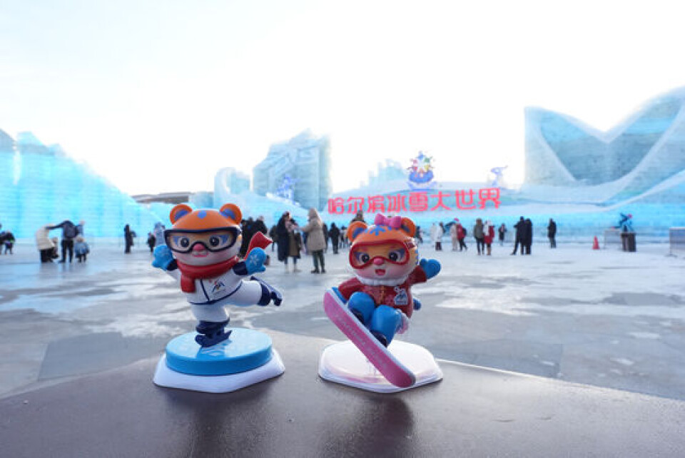 Asian Winter Icon Getting ready for the Asian Winter Games: What are Team Korea’s medal ...