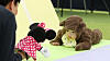 A baby in a bear outfit crawls towards their father at the Daegu Baby and Kids Fair held in Buk District, Daegu, on March 7. [NEWS1]