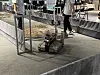 An extreme robot rehearses navigating a rough course ahead of a contest at the Seoul AI Robot Show at Coex in southern Seoul on Sept. 30. [CHO JUNG-WOO]