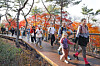 Participants of the 2025 Seoul Eco Hiking Festa walk along a trail on Mount Namsan in Jung District, central Seoul, during the event’s family-themed hike on Nov. 22. [PARK SANG-MOON]