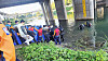 A search team from the National 119 Rescue Headquarters retrieves a body found around 9 a.m. on Oct. 17 near Dongmak Bridge over the Jungnang Stream in Uijeongbu, Gyeonggi. [GYEONGGI-DO NORTHERN FIRE SERVICES]