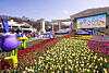 Everland’s Four Seasons Garden attracts visitors with Sanrio characters this spring. [SAMSUNG C&T]