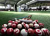 Voters cast their ballots at a polling station set up inside the Shindae Gateball Court in Sejong on June 3, the day of the 21st presidential election. Gateball is a mallet sport derived from aspects of croquet. [YONHAP]